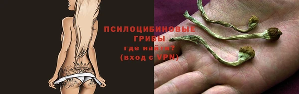 МДПВ Заволжье