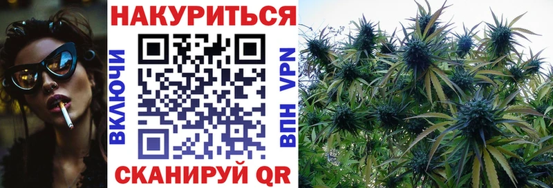Канабис сатива  Купить  Нелидово 